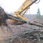 Narrow Solid-Straight Thumb for sale Moving Logs - Rockland Manufacturing