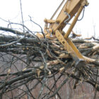 BT-H Bucket Thumb for sale Grabbing Branches - Rockland Manufacturing
